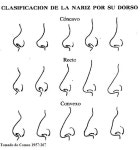 Pin de 곽호기 em 케리커처 | Orelhas desenho, Arte com cabelo natural, Desenho nariz
