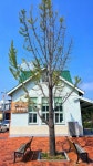 동촌역사작은도서관  Daegu Korea