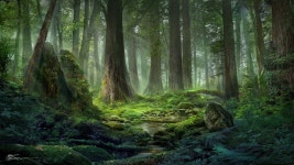 Landscape에 있는 성희 이님의 핀 | 그림, 배경, 숲