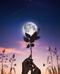 Pin by 예은 이 on silhouette art | Nature photography, Illusion photos, Moon photography