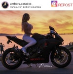 모터에 있는 키온 키님의 핀 | 모터