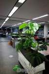 artificial landscape 실내조경 , 인조실내조경 , artificial  indoor landscape , planterior - 2020
