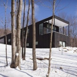 초록의 잔디지붕이 인상적인, 힐링을 위한 숲 속 별장 - 2020 | 멋진 주택, 별장, 숲