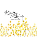 한국캘리그라피 디자인센터 전북지회 전주 캘리그라피글꼴 감성수채일러스트 &amp; 캘리그라피작품 빛나는 ... | 꽃 카드, 크리스마스 카드, 손글씨