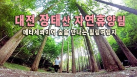 [Sketch] 대전 장태산 자연휴양림 여행 / 메타세콰이어 숲을 만나는 힐링여행지, 충남여행지, 여름여행지, 대전여행지, 숲길 산책... 