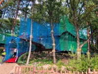 뜨거운 여름 시원하게 날려줄 소백산 자연휴양림 네트어드벤처 | 여행지, 놀이터, 모험