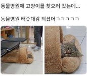 피클포털에 있는 핀