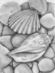 Pin by Studio jb on 소묘 중급 in 2022 | Life drawing, Easy drawings sketches, Observational drawing