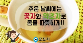 추울 땐 꽃차와 약초차가 제격 | 대체의학, 약초, 건강한