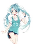 Pin de 웅이네 정 em ㄱ. 하츠네미쿠 | Imagens fofas, Anime, Desenhos