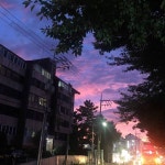 #03 #16 #17 #제주 #인스타 #follow #팔로우 #fff #flowers #소통 #ootd #오오티디 #좋아요 #좋반 #좋아요반사 #셀카...  예쁘지... 