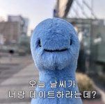 창가액자에 있는 Seulki Oh님의 핀 - 2023 | 웃긴, 웃긴 밈, 귀여운 밈