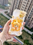 데코덴케이스 Twelve Constellations series decoden phone case: Lion(7/23-8/22) trong 2022 | Vỏ điện thoại, Hình minh họa