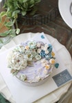 [소유케이크] 수원/광교/용인/분당/안산/동탄 앙금플라워 창업 정규반 후기들 | Chocolate cake cookies, Butter cream, Cake designs