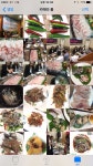 광주에 있는 여수계동횟집...자연산 민어회가 일품이다 #광주맛집 #빅뱅팀