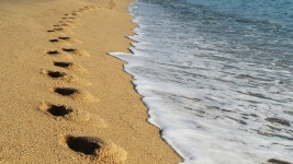 Pixabay의 무료 이미지 - 강릉, 동해바다, 풍경, 바닷가, 모래사장, 파도 | Sea waves, Landscape, Beach