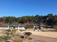 강릉 가볼만한곳으로 강릉선교장 구경가다 | Dolores park, Park, Travel