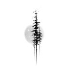 타투이스트 리버의 그라피투 on Instagram: “tree & night sky :) - #graffittoo #sketch #그라피투 #타투스케치” | Night skies... 