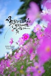 #가을시#부천캘리#하남캘리#캘리전문#예쁜글#좋은글#캘리배우기#아송글씨#낙엽 - 2020 | 가을 시, 꽃 종류, 손글씨