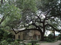 Beautiful grounds at The Alamo San Antonio, Texas | Alamo san antonio, Haunted places, Travel spot