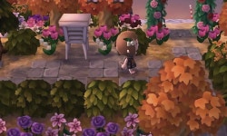 숲속의 작은 마을 8C00-00E4-9A21 | Animal crossing, Animal crossing 3ds, Animal crossing qr