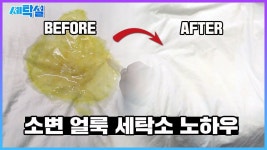 세탁꿀팁에 있는 핀
