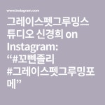 그레이스펫그루밍스튜디오 신경희 on Instagram: “#꼬삔졸리 #그레이스펫그루밍포메” - 2020