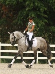Dressage horses are so elegant. <3 | 말