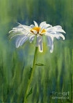 꽃그림에 있는 월인행님의 핀 | 풍경 수채화, 풍경화, 작은 캔버스 그림