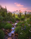 산산산 .바다 . 명산의 천길 만길에 있는 (주) MERDOR님의 핀 | 풍경 사진, 풍경 그림, 석양