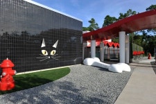 luxury dog hotels | Disney Opens Luxury Pet Resort in Orlando ... | 디자인 luxury dog hotels | Disney Opens Luxury Pet... 