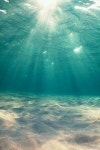 under the sea | 물 사진, 풍경 배경화면, 수중 사진