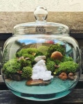 Pin de daramdaram 2 em 테라리움 | Vasos decorativos, Mini jardins, Jardim