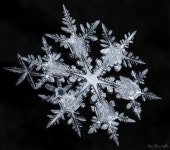 Stunning Super-Detailed Close-Ups of Snowflakes By Don Komarechka | Bored Panda | 눈송이