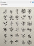 프랑스자수 image by 미영 김 | Tiny flowers, Flowers instagram, Black and white illustration