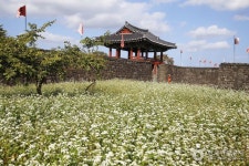 Aldea Folclórica Seongeup (성읍민속마을) | Lugares turisticos, Turistico, Aldea