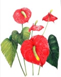 색연필 1 (colored pencil)에 있는 핀