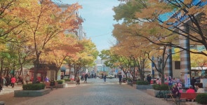 In Korea에 있는 Sangwoo Han님의 핀