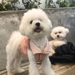 내 사랑♥️ | 내 사랑, 사랑