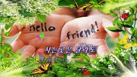 ♬Youve Got A Friend~♪ ♥좋은글/ 당신은 나의 친구입니다..
