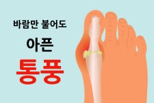 약초/식물/한방에 있는 핀