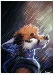 Furry에 있는 Furry BOY님의 핀
