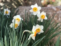 Suncheon(순천)에 있는 2third m님의 핀