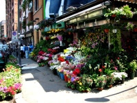Flower market in Italy | 초등 미술