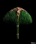 Pin by 강미숙 on 디자인부케 | Floral art arrangements, Modern flower arrangements, Flower structure