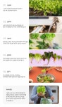 만나박스 :: 오리지널박스-신선식품 정기배송 | 레이아웃, 채소, 디자인