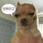 Pin by 셈 김 on ㅋㅋㅋㅋㅋ in 2021