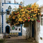 Pin von 주영 박 auf 그리다 | Albufeira, Portugal