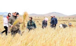 Pin by 조선의 오늘 dprktoday on 조선의 오늘 Today of DPRK | Scenes, Couple photos, Photo