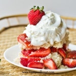 Cream shortcake | 딸기